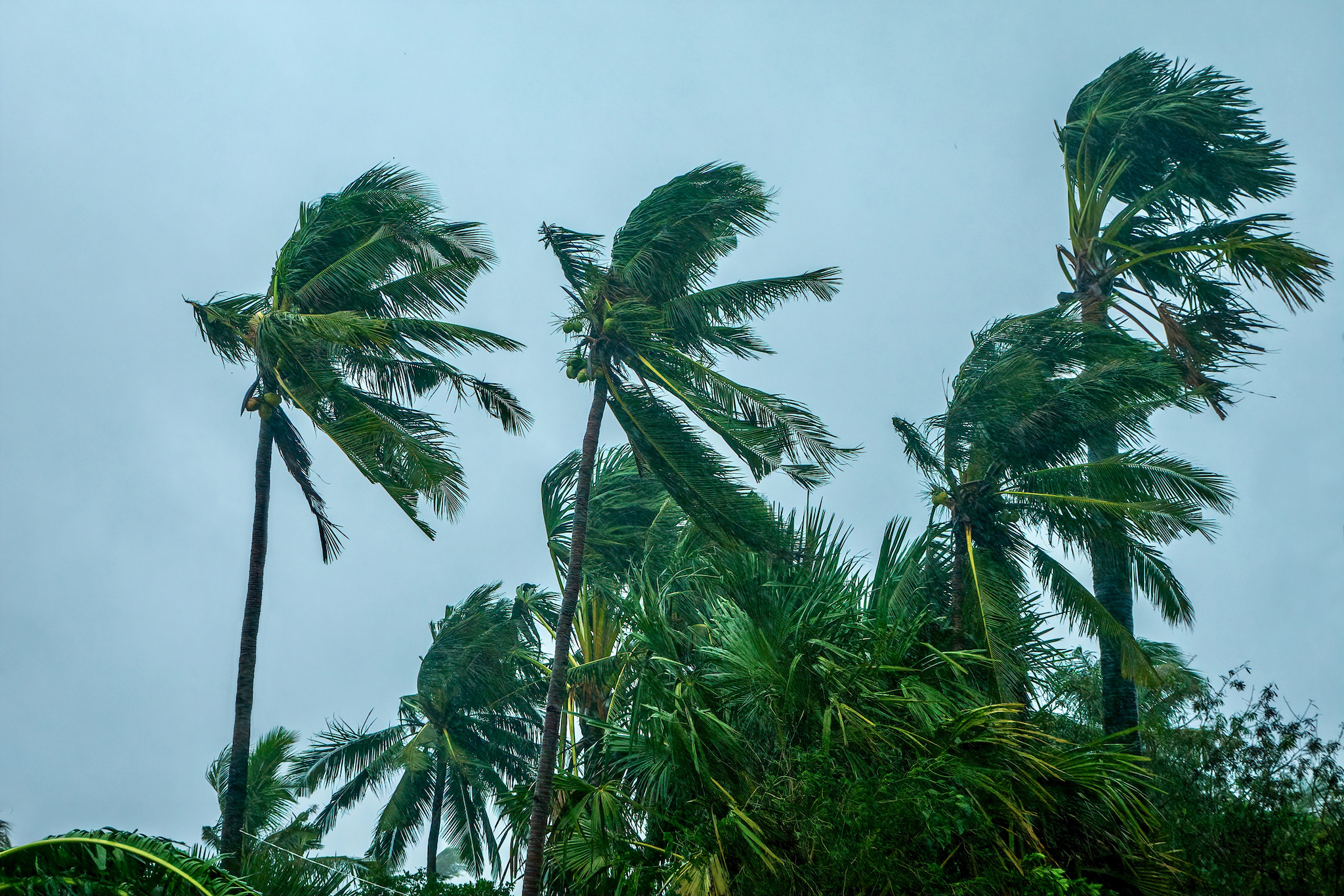 Ouragan Nadine Path : ce que l’on sait jusqu’à présent sur un éventuel ouragan après Milton