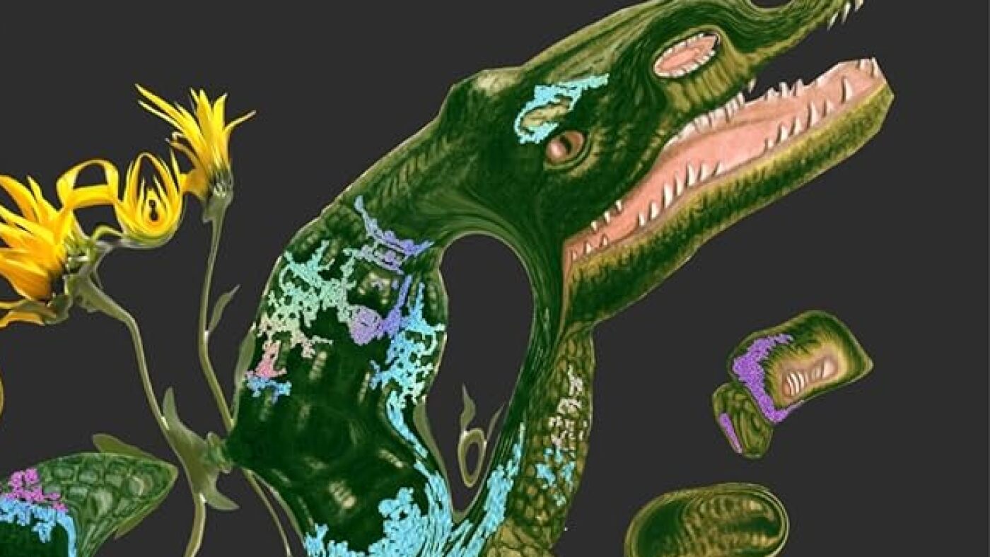 Jeff VanderMeer a brossé un tableau grotesque du changement climatique. Maintenant, il est de retour pour en savoir plus