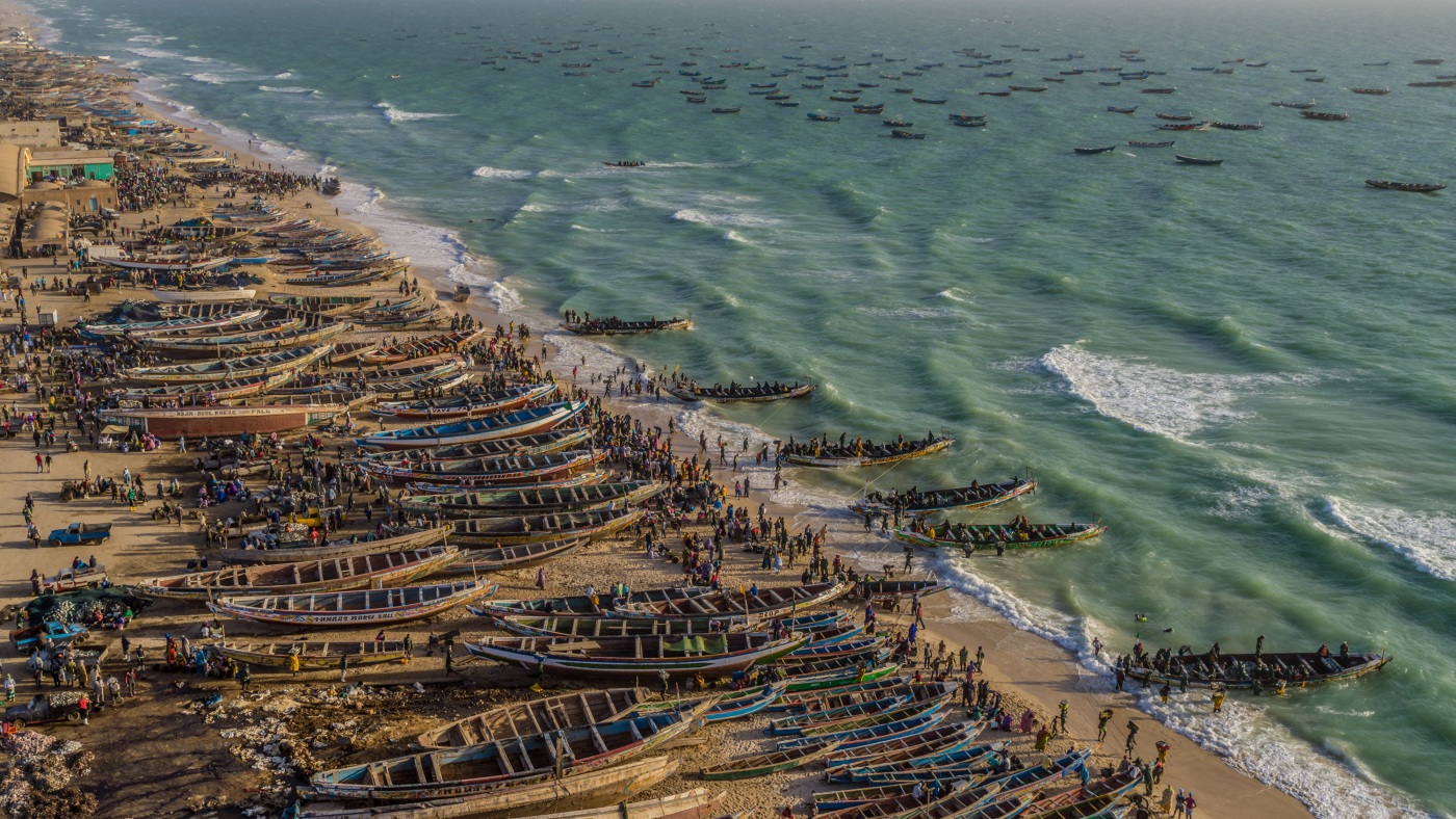 PHOTOS : vue d'un drone sur des « paysages alimentaires », du bétail au soja en passant par les crevettes