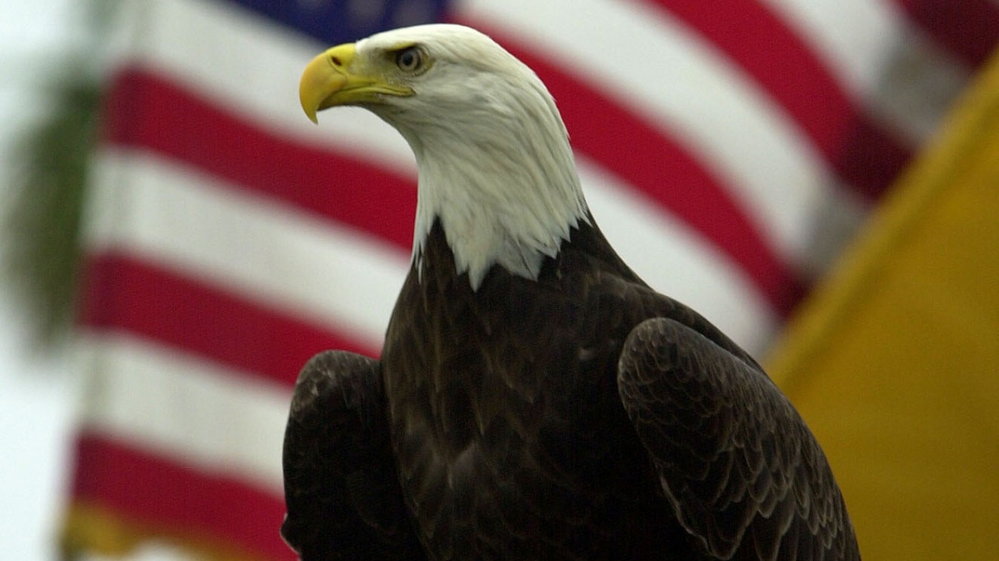 Le pygargue à tête blanche n'est pas réellement l'oiseau national des États-Unis, mais cela est sur le point de changer