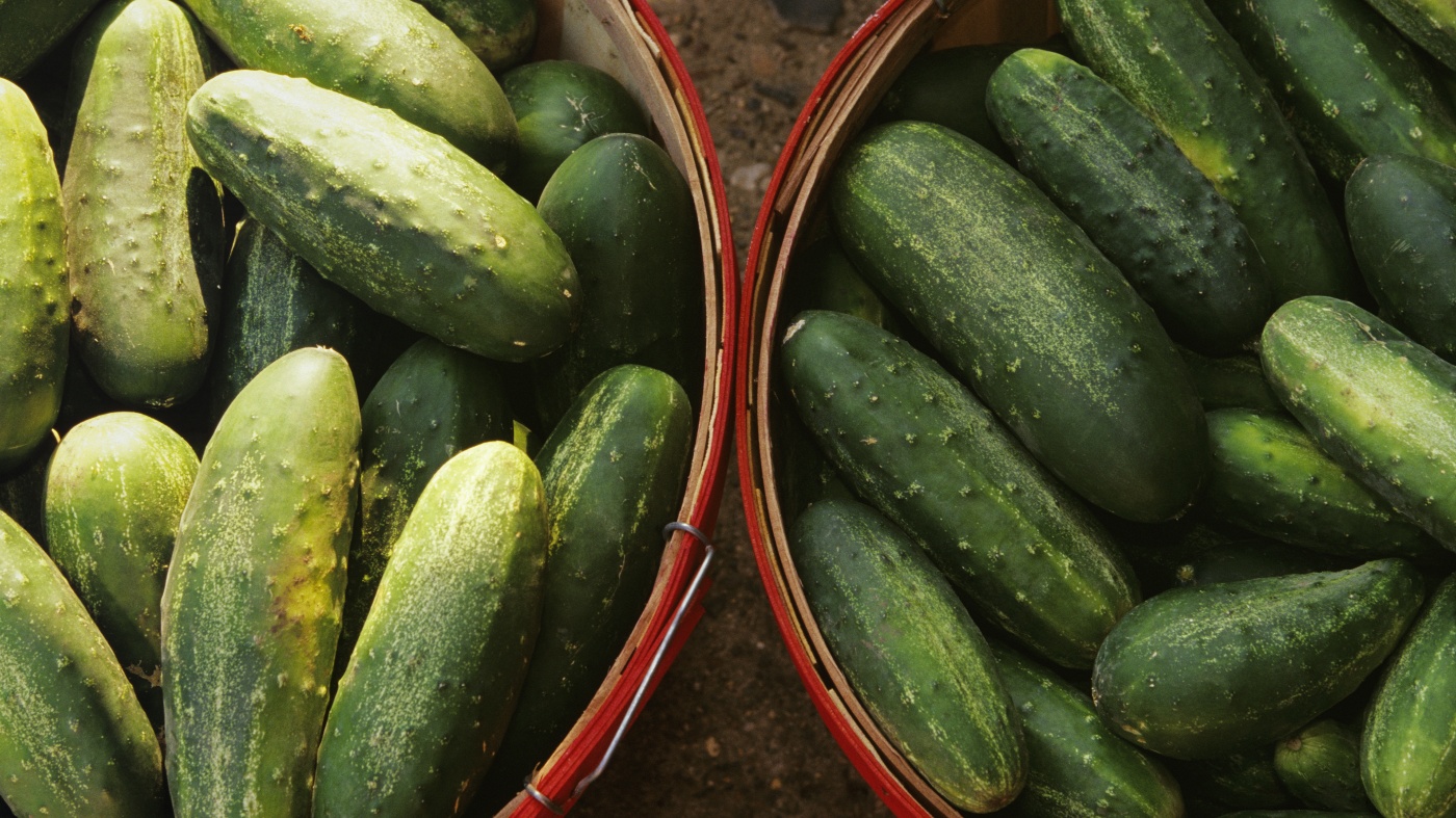 Une épidémie de Salmonella malace des dizaines de dizaines, provoquant un rappel de concombre. Voici quoi faire