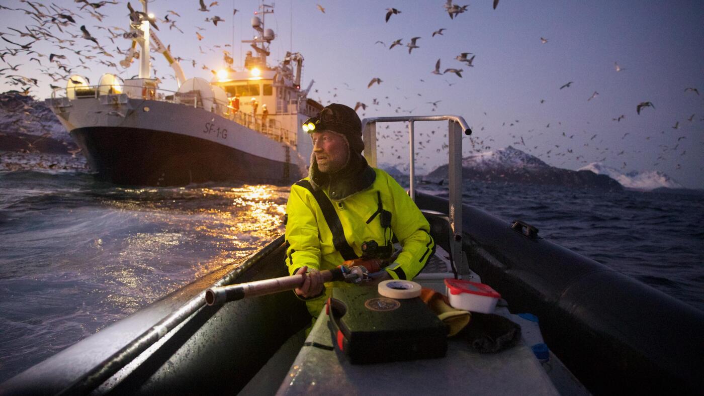 Dans les photographies, les scientifiques se délectent du monde qu'ils cherchent à découvrir