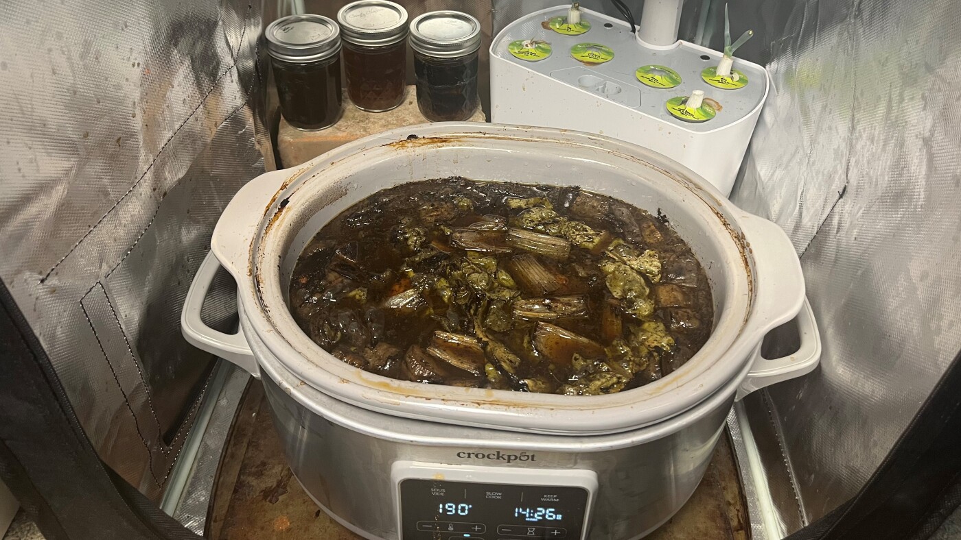 Vous voulez essayer du ragoût perpétuel? Quelques conseils pour éviter les maladies d'origine alimentaire