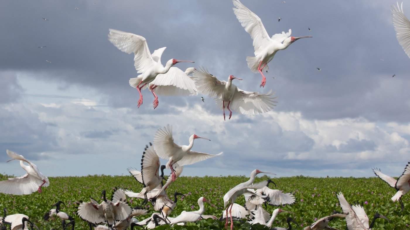 Voici quelques-uns des nouveaux sites du patrimoine mondial de l'UNESCO