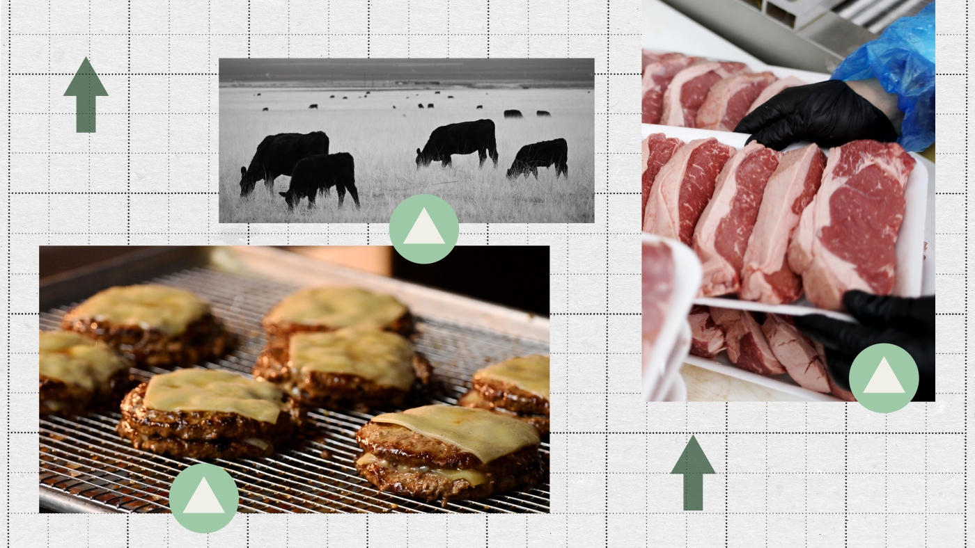 Pourquoi les prix du bœuf sont plus élevés que jamais (et les acheteurs résistent enfin)