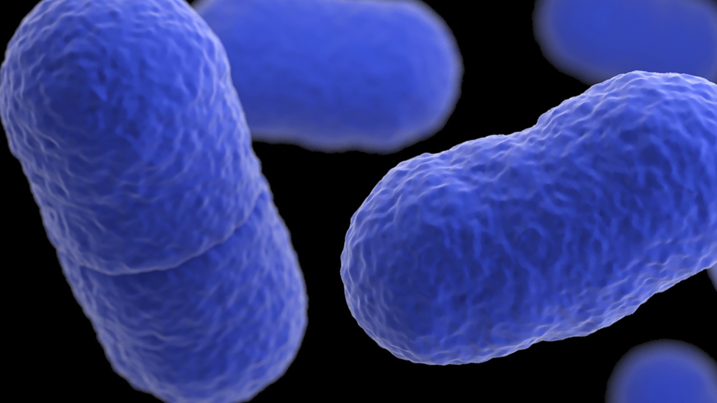 L'aggravation de l'épidémie de listeria liée aux pâtes alimentaires fait 6 morts et 25 hospitalisés