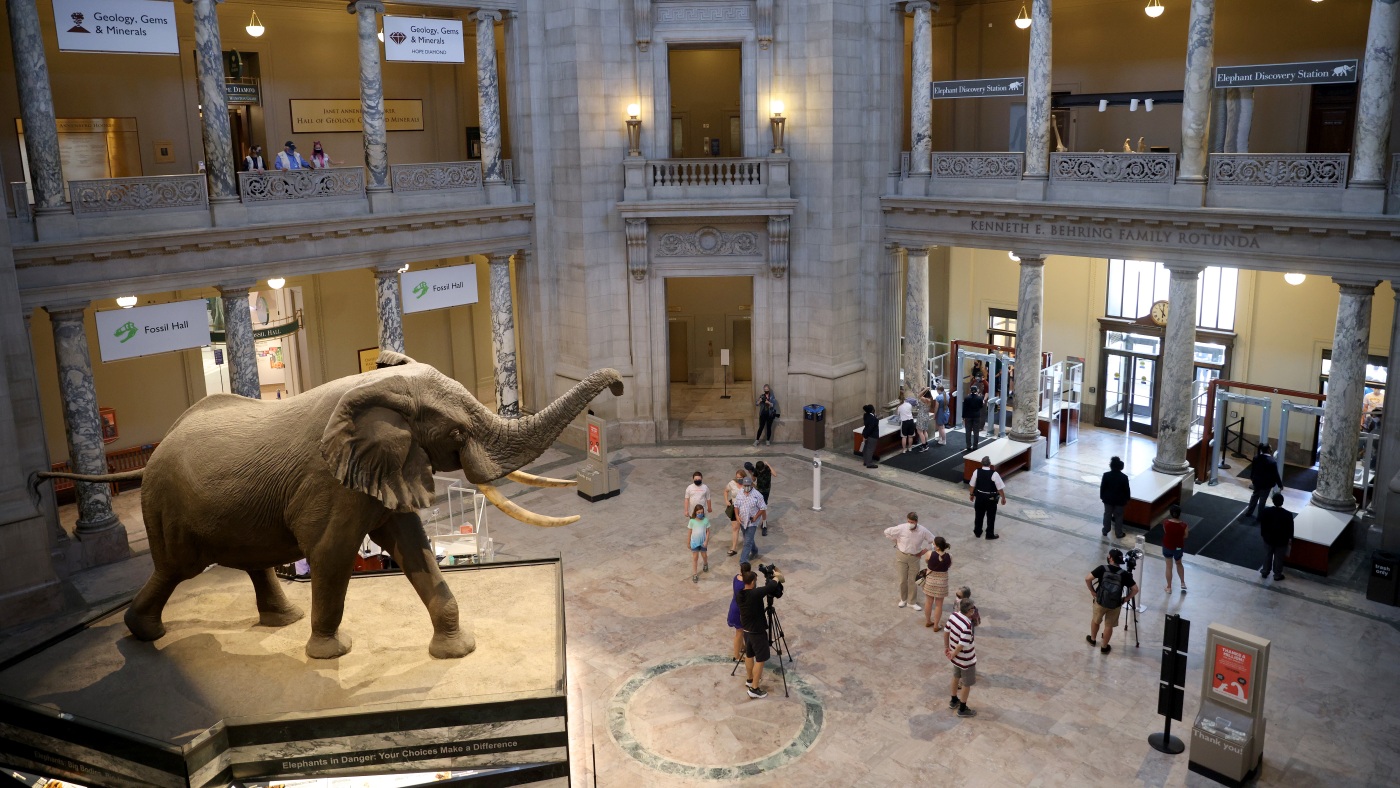 « Ravi d'être ouvert » : le Smithsonian et d'autres musées accueillent à nouveau les visiteurs