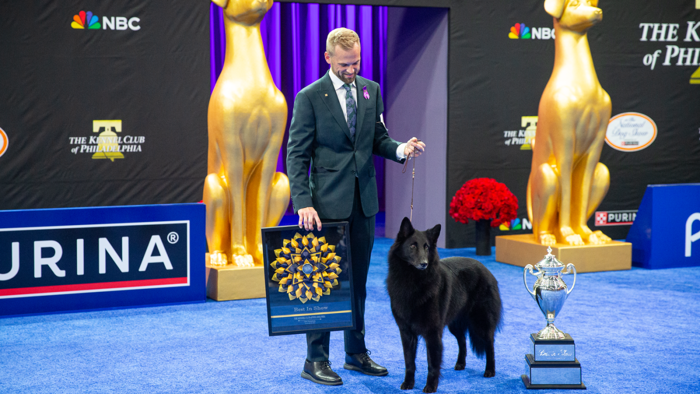 Soleil, un chien de berger belge, remporte le prix Best in Show à l'Exposition canine nationale