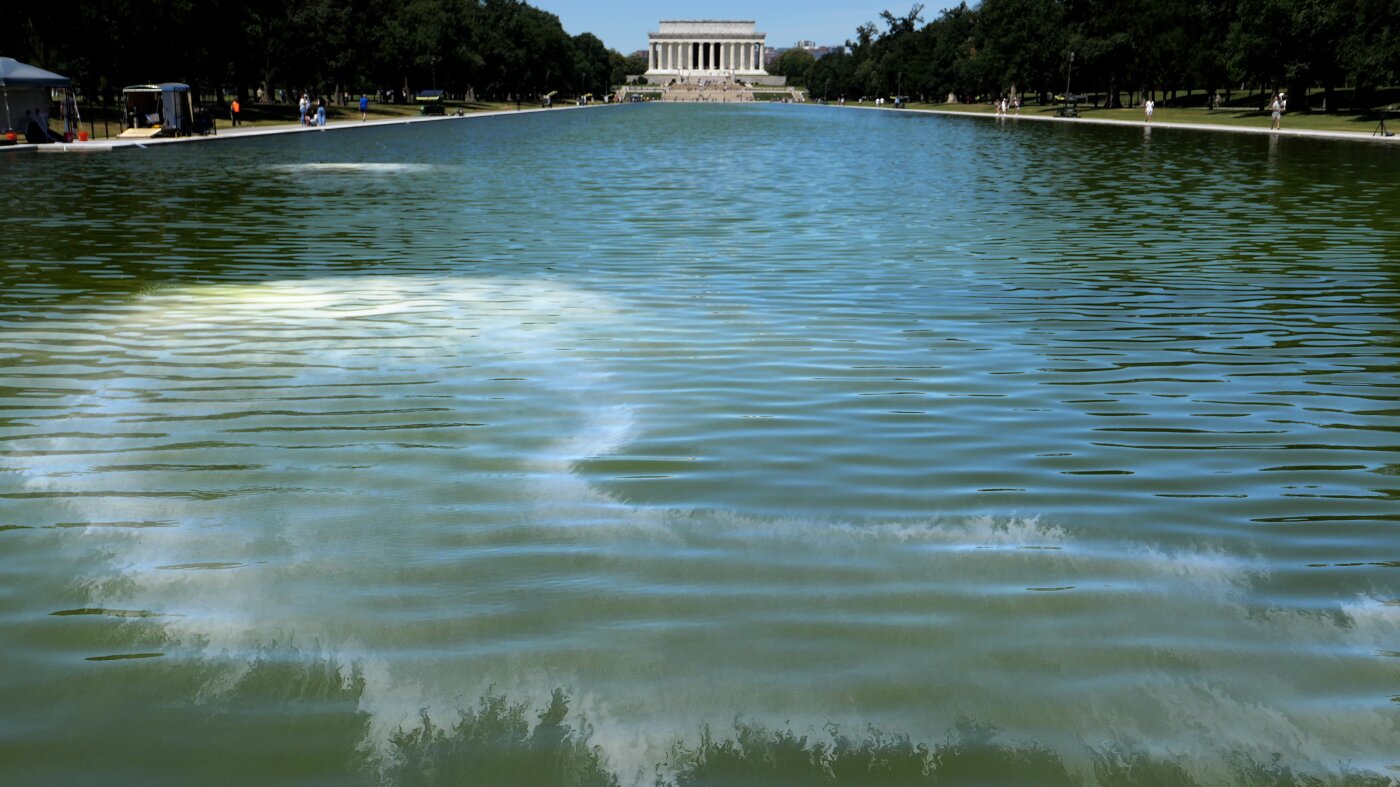 Les algues ont obscurci la vision de Trump concernant le Reflecting Pool. Mais les scientifiques ne sont pas surpris