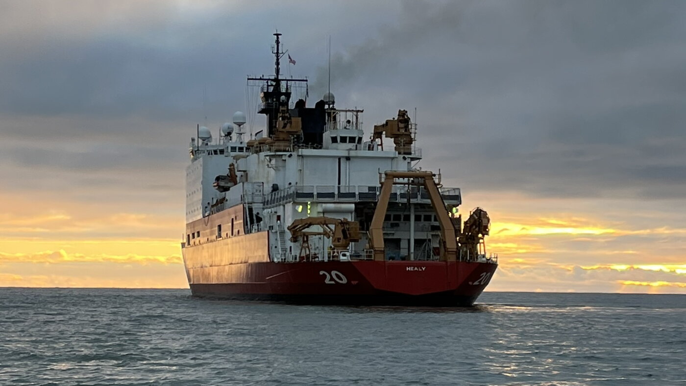 À bord d'un brise-glace, un écrivain a observé de plus près les « changements marins » de l'Arctique