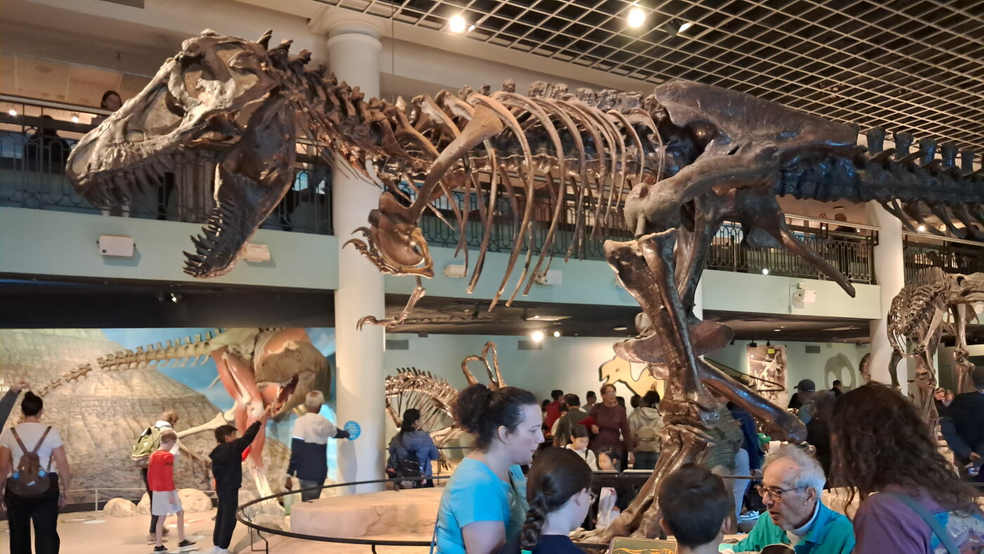 Juste avant son 200e anniversaire, un musée d'histoire naturelle historique ferme ses portes