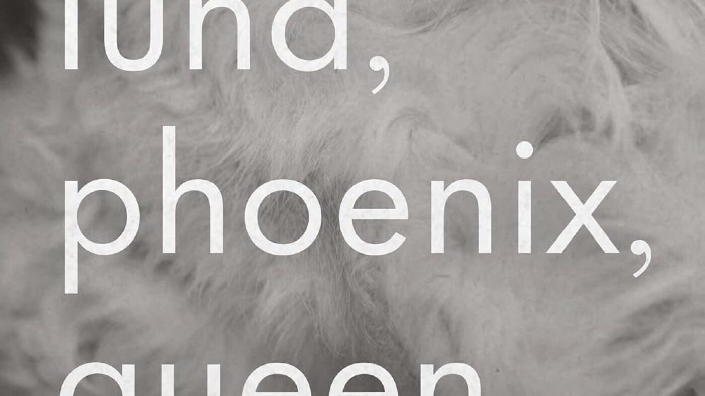 "Luna, Phoenix, Queen" est un roman magistralement tracé et magnifiquement émouvant